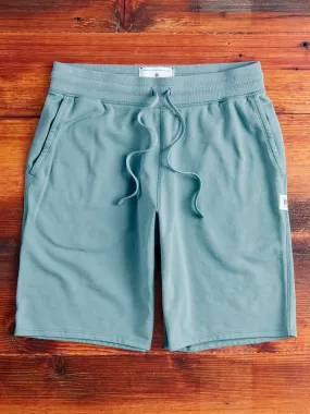 Lightweight Terry Sweatshort in Ink